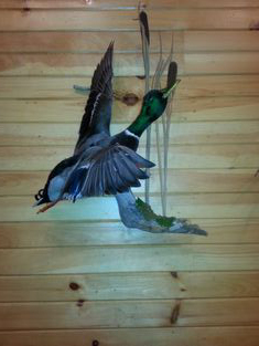 Dave with GM Bill Brennan of Newicks Lobster House. 